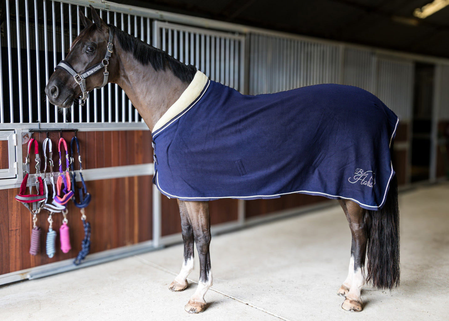 Fleece Show Rug