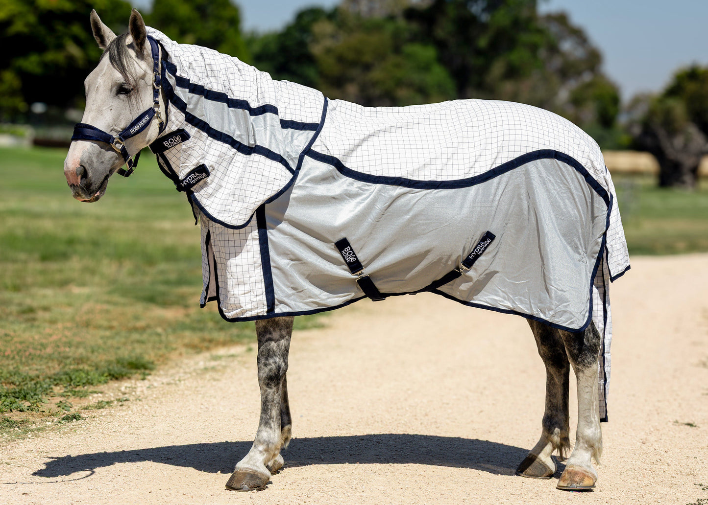 Hydra Hybrid Rug