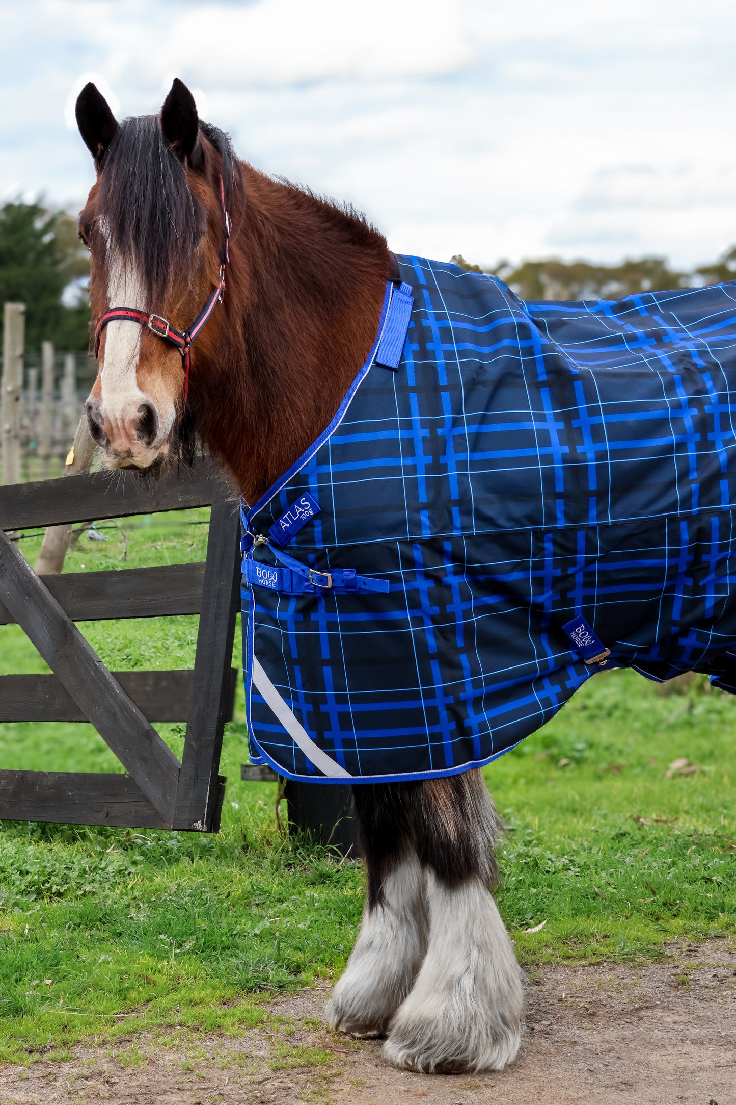 Atlas Turnout with Detachable Neck Cover - Extra Wide Sizing