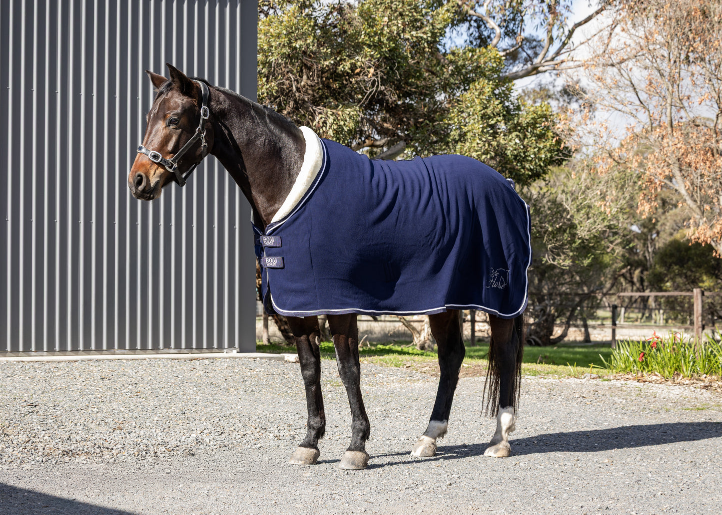 Fleece Show Rug