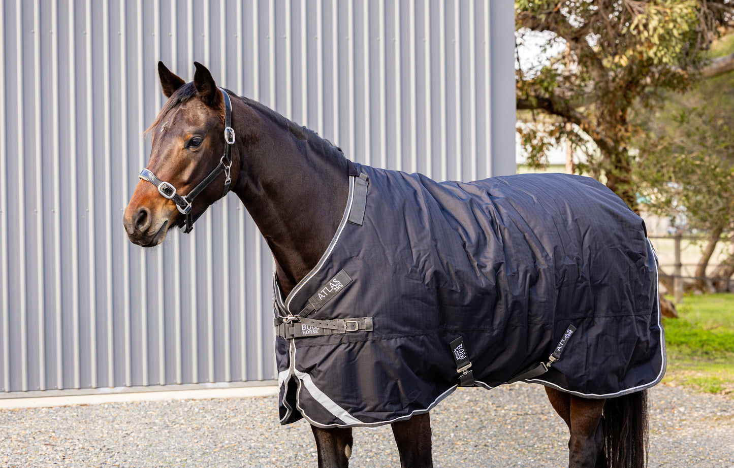 Clearance Atlas Turnout Rug - Neck rug NOT INCLUDED