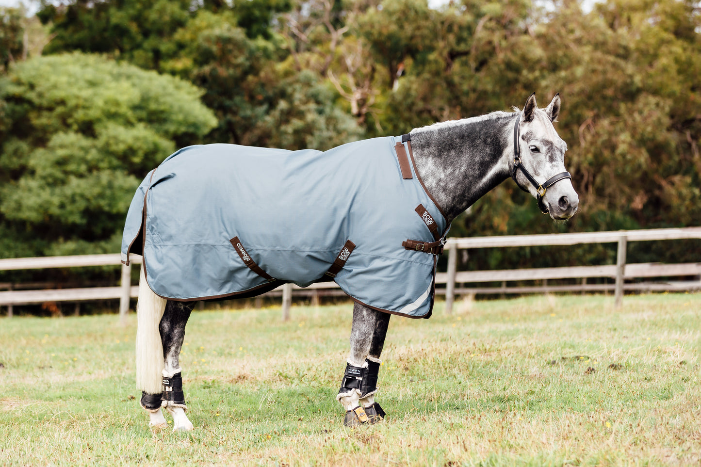 Clearance Atlas Turnout Rug - Neck rug NOT INCLUDED