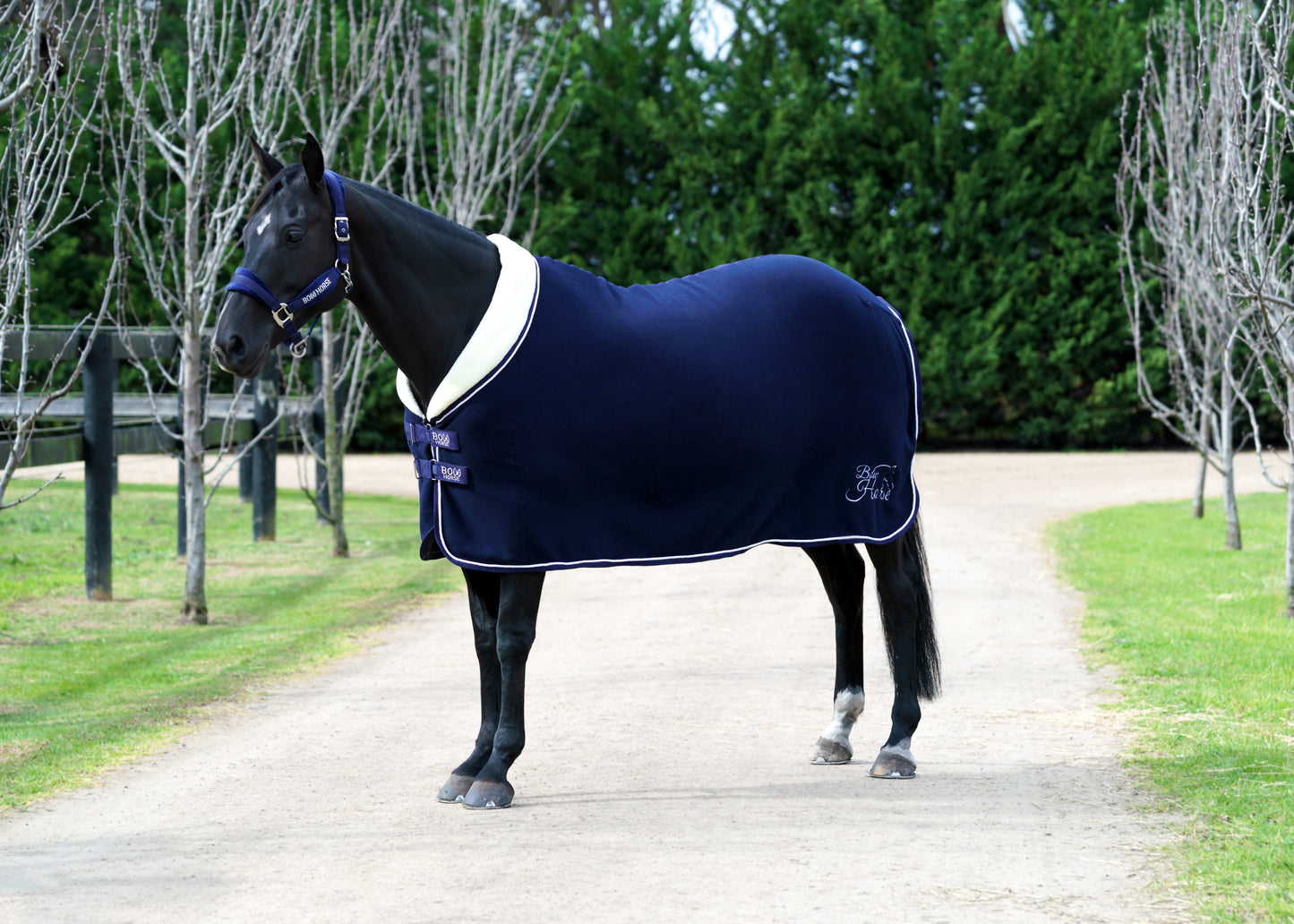 Fleece Show Rug