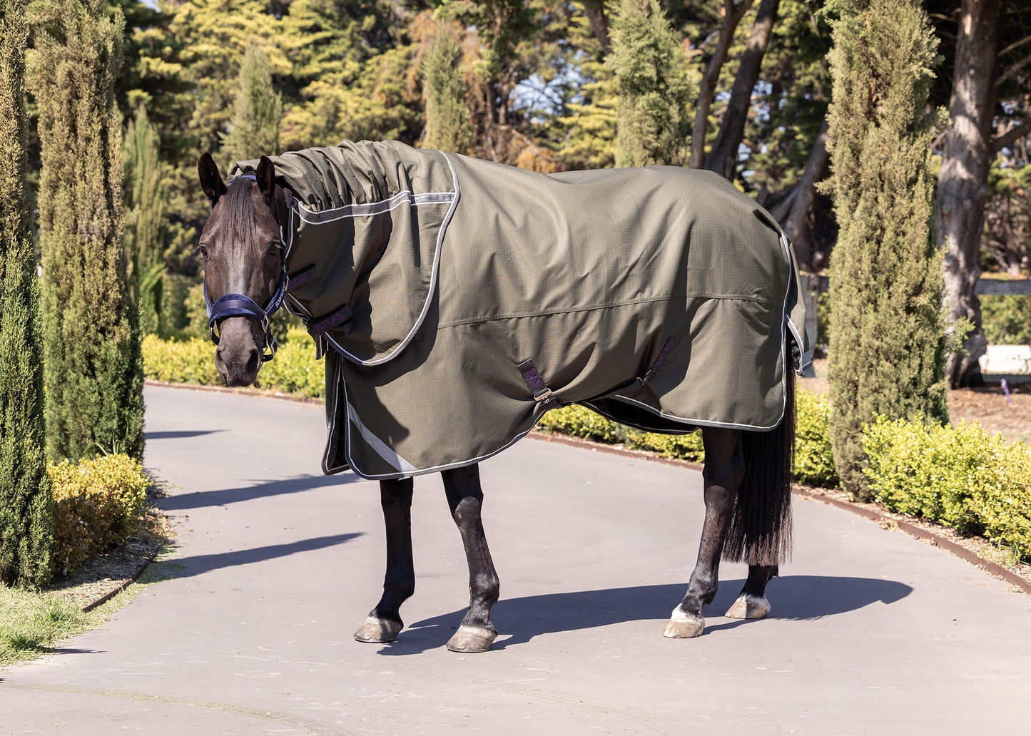 Atlas Horse Rug with Detachable Neck