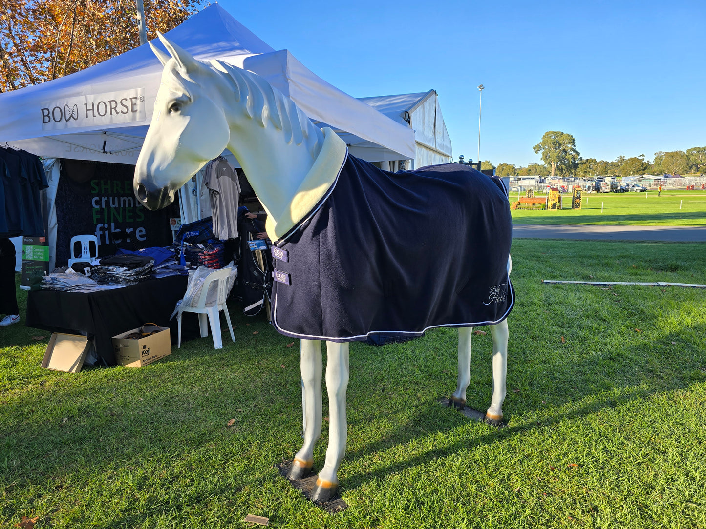 Fleece Show Rug