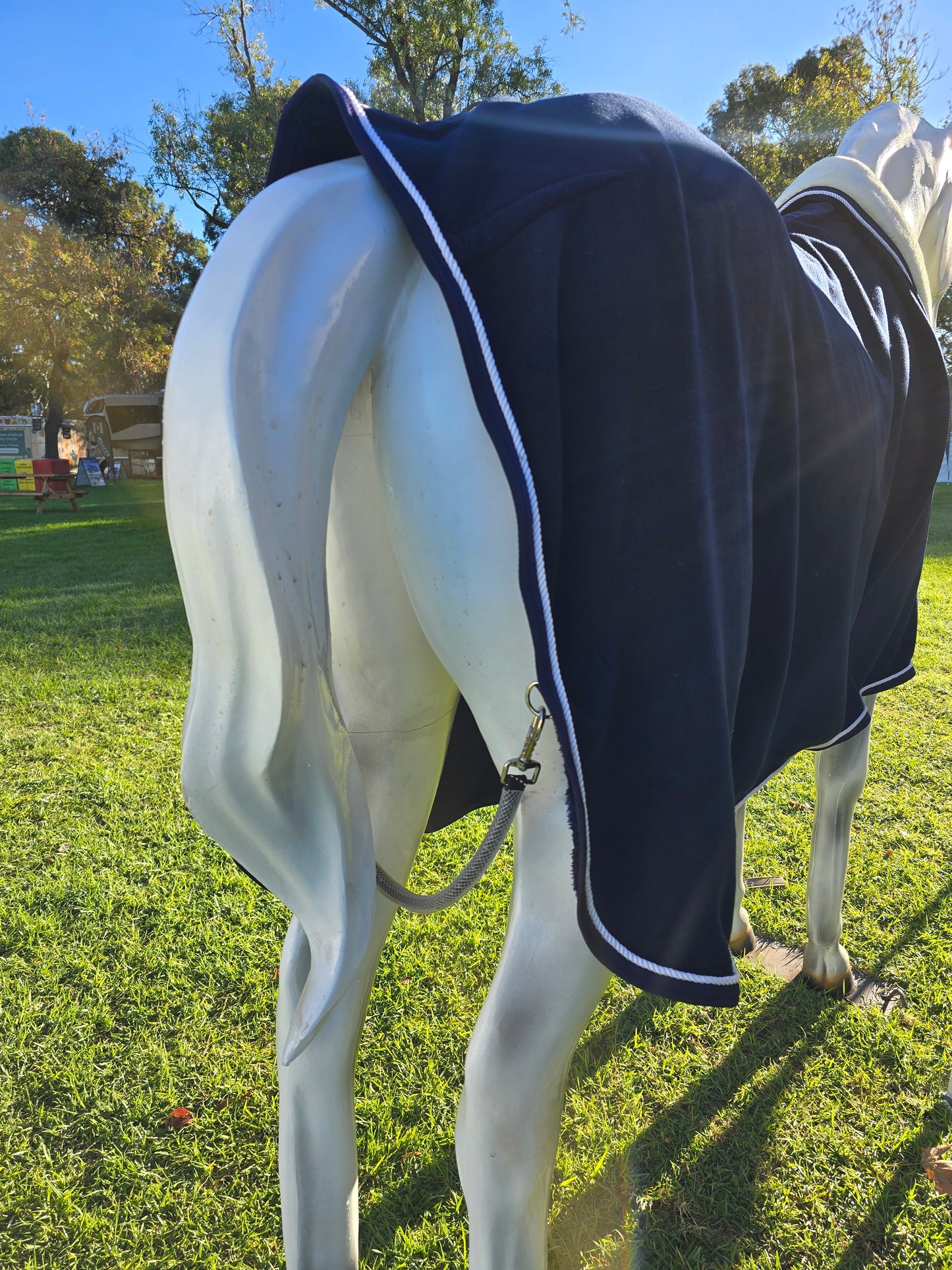 Fleece Show Rug