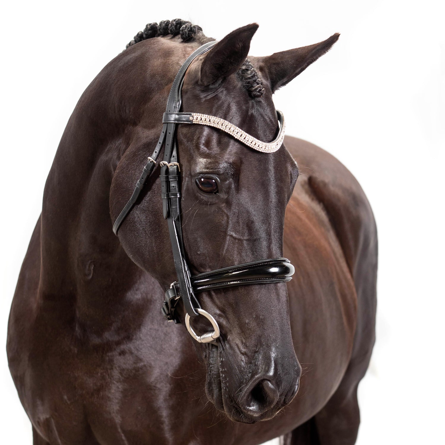 Flexible Fit Equestrian Australia Products
