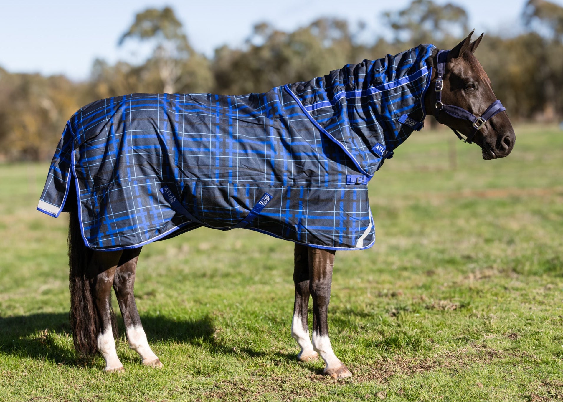 Horse Rug with Detachable Neck - Waterproof Winter Rug | Bow Horse