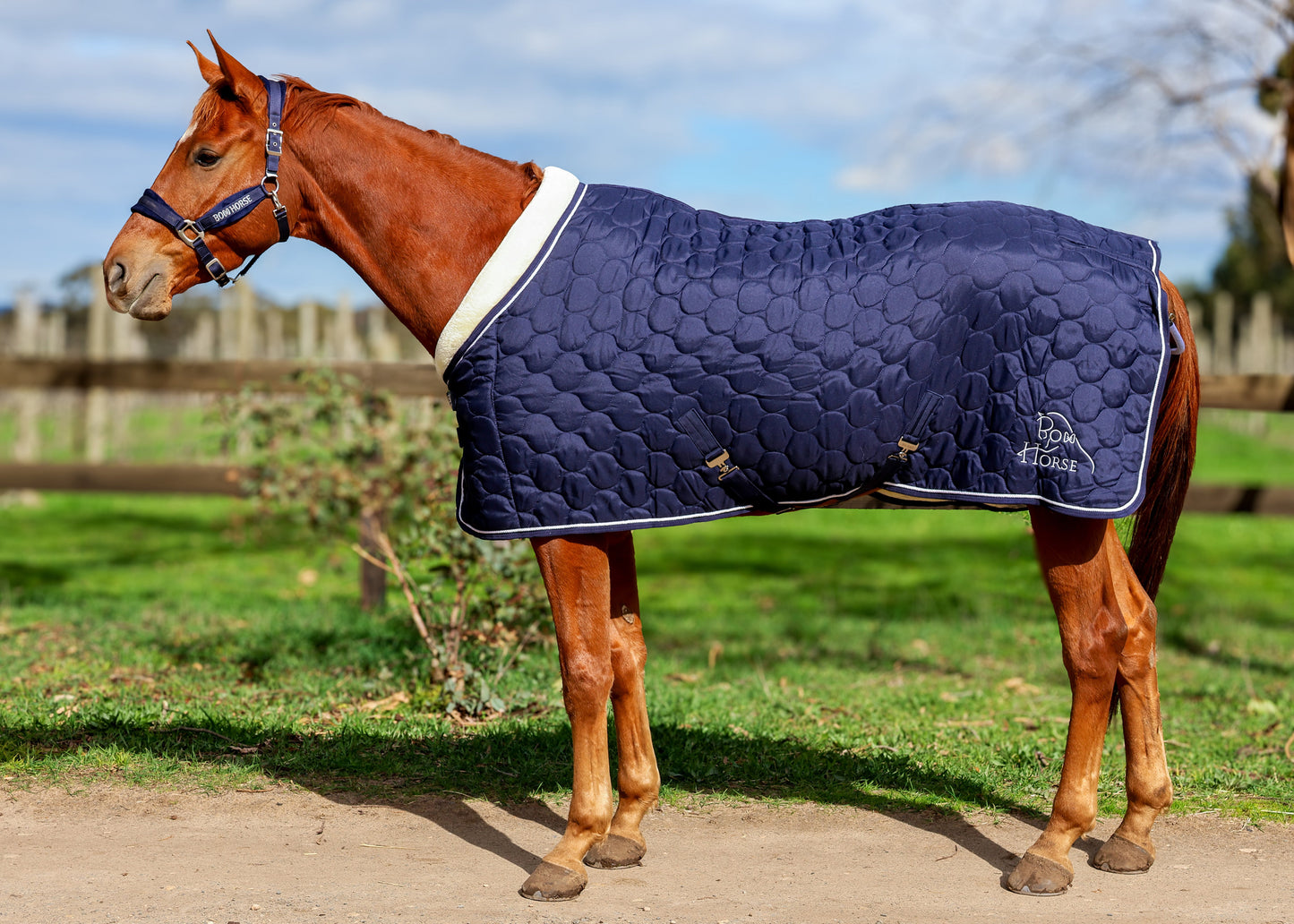 Winter Show Rug