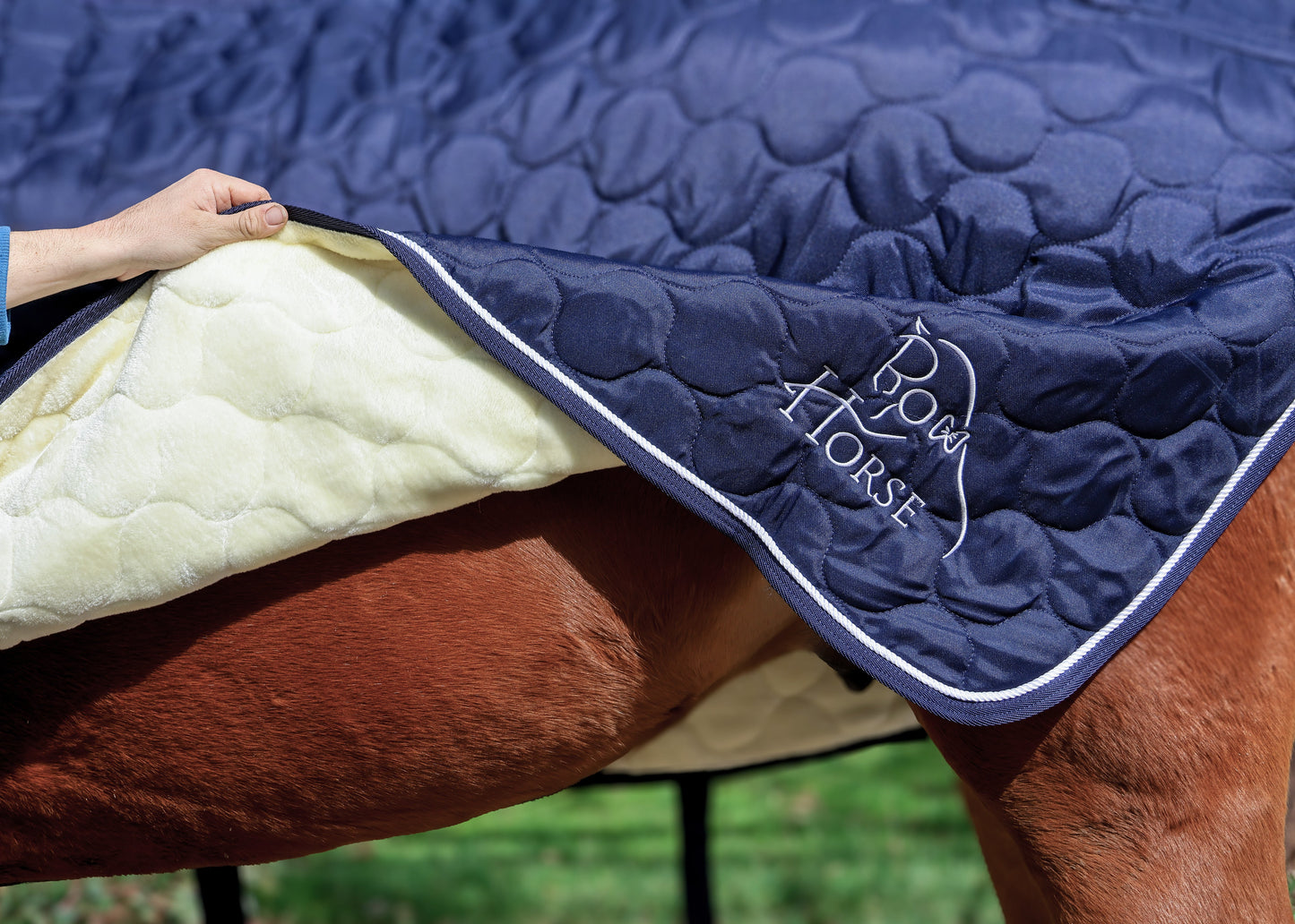 Winter Show Rug