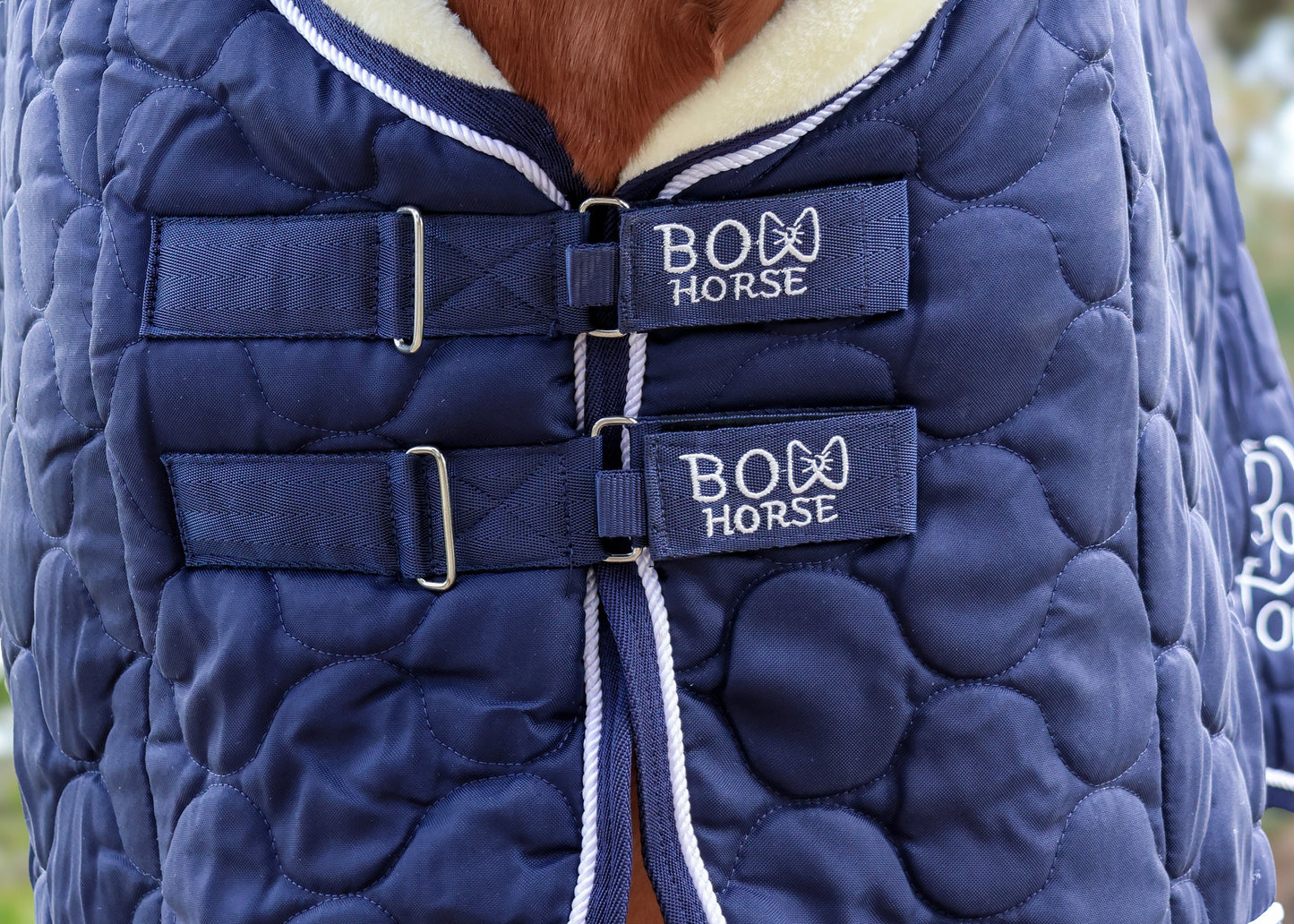 Winter Show Rug
