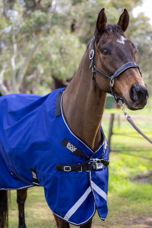 2023 Horse Rug with Detachable Ripple neck (sizes AUS 5'3, 5'6 only)