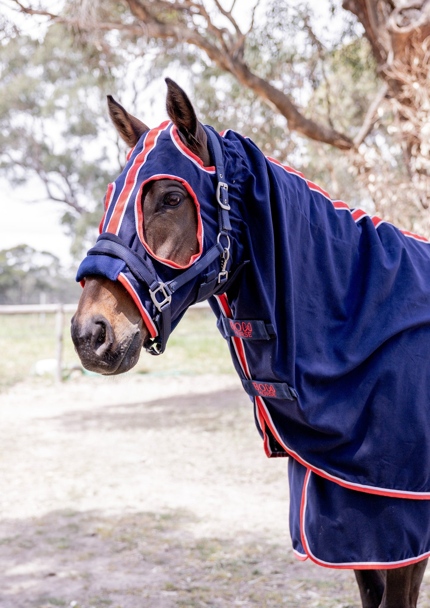 show horse rug