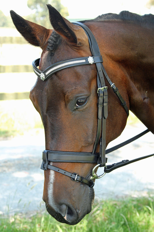 3 Row V with Shields Snaffle Bridle - Flexible Fit Equestrian Australia