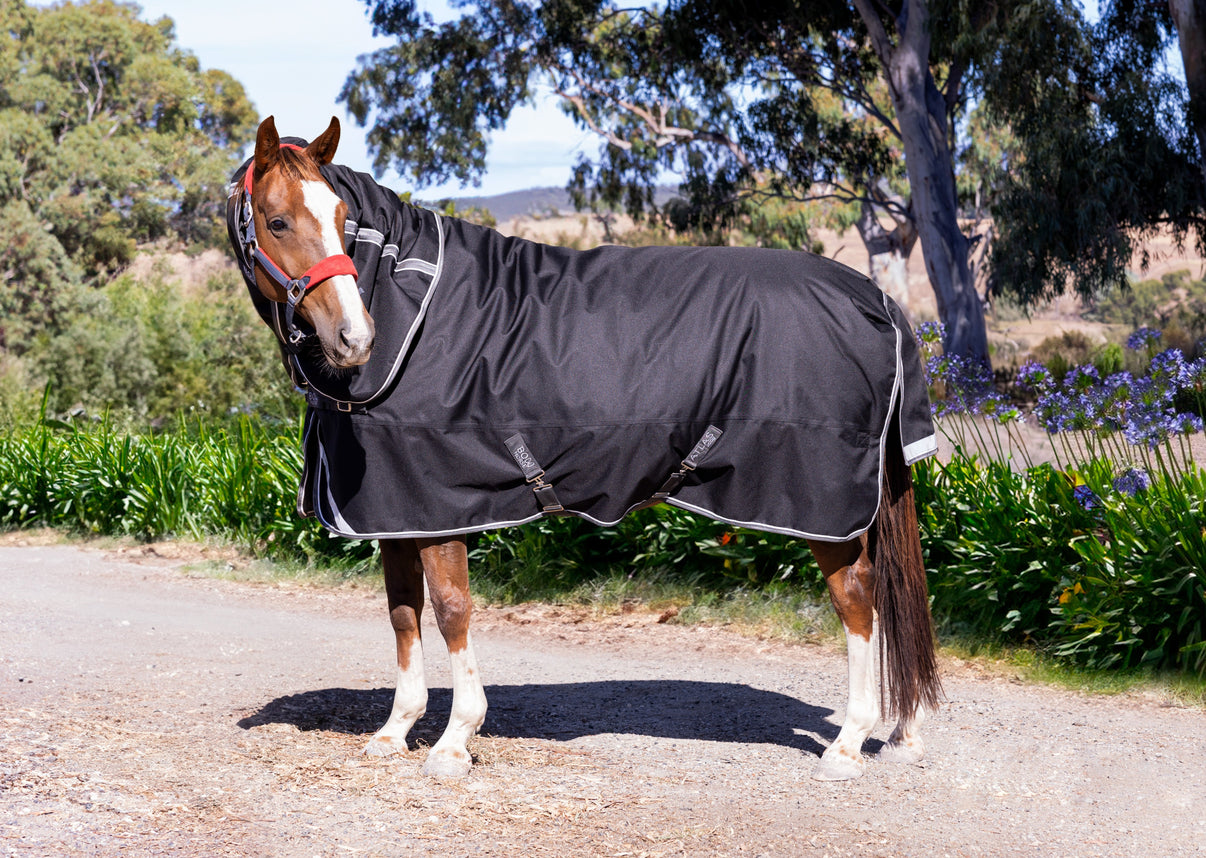 Horse Rug with Detachable Neck - Waterproof Winter Rug | Bow Horse