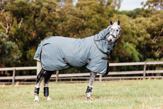 Clearance Atlas Turnout Rug with detachable neck - 2024 stock