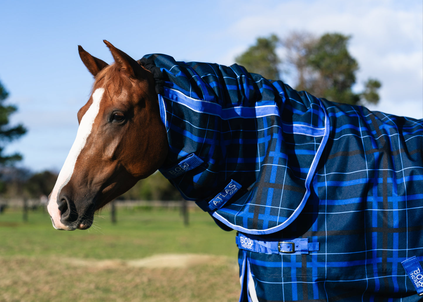 2025 Ripple™ Neck Rug