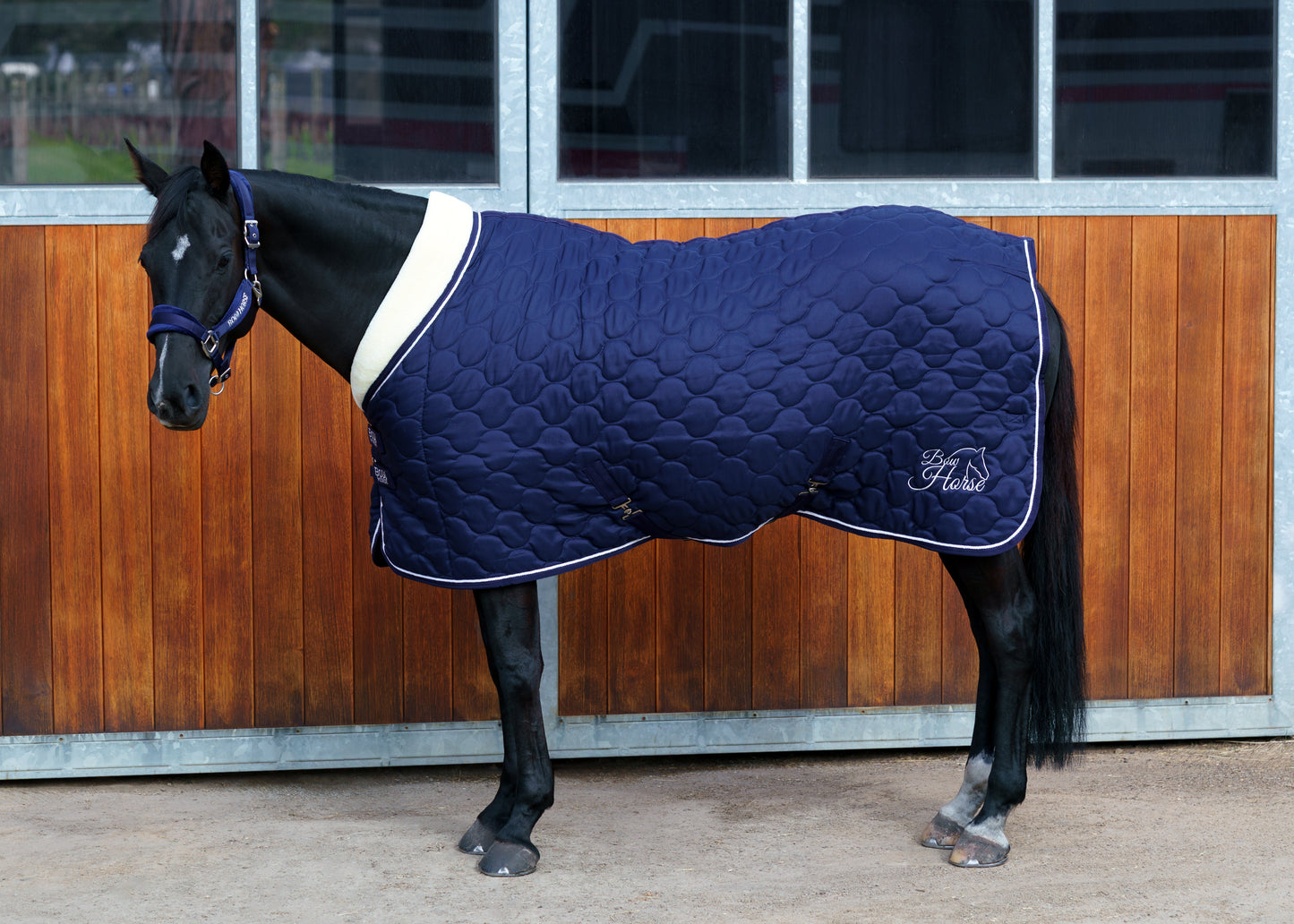 Winter Show Rug