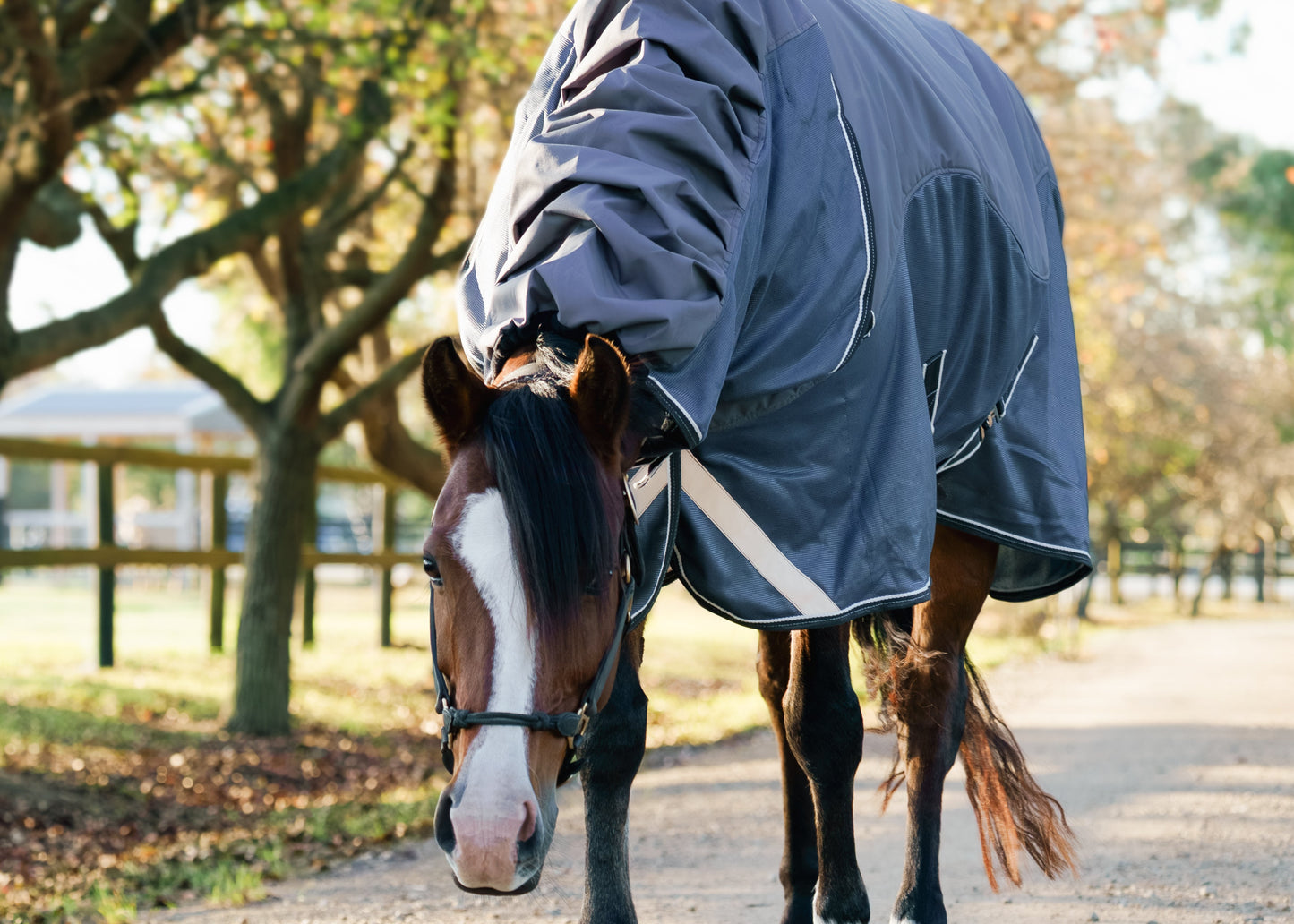 Hybrid Waterproof Turnout Rug