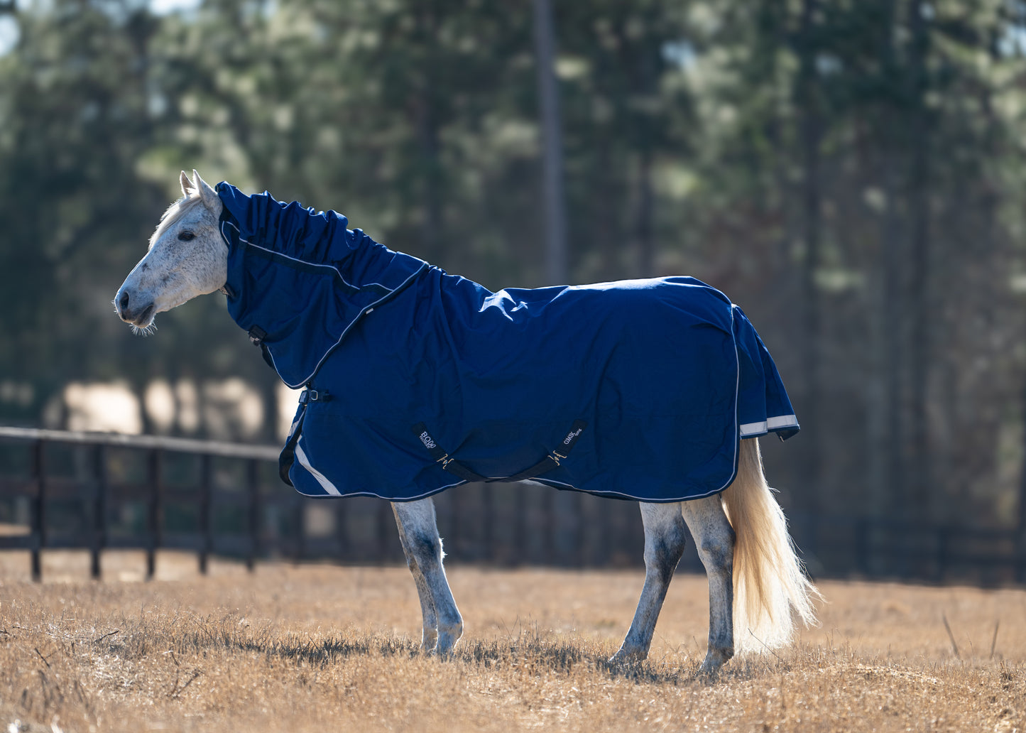 Atlas Horse Rug with Detachable Neck