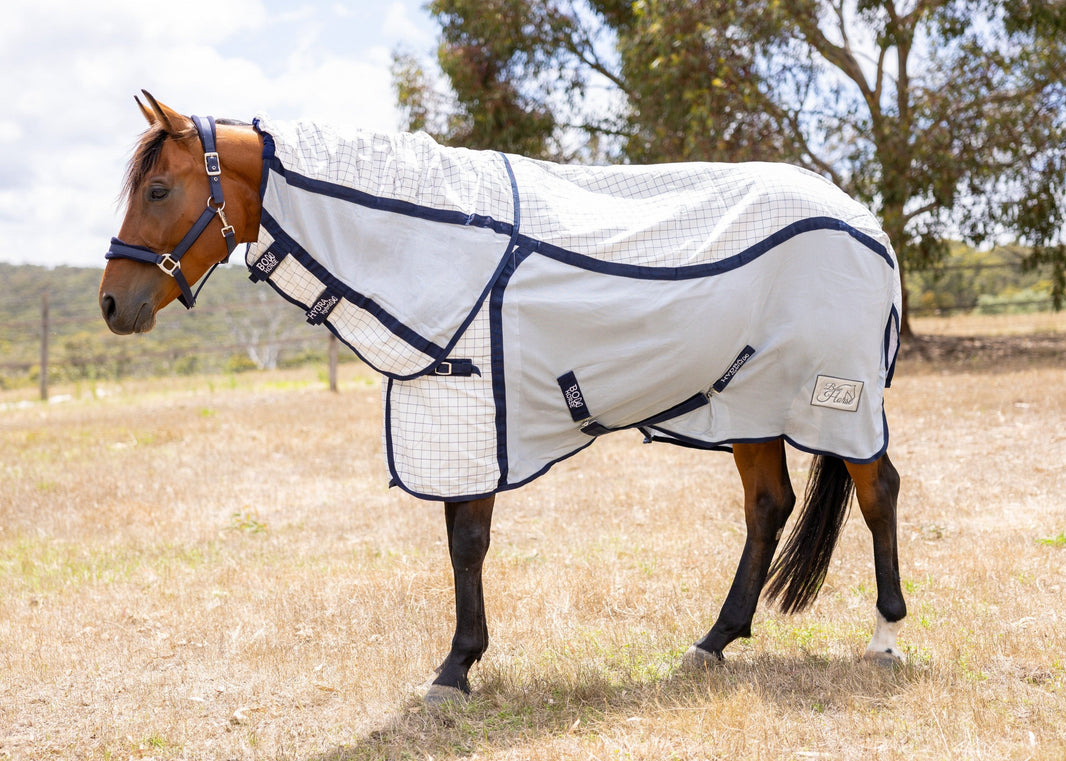 Best Summer Horse Rugs Australia Buy Mesh & Cotton Horse Rugs