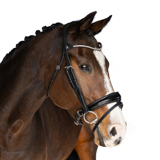 Horse snaffle bridle - Ready To Go Bridle series Stella