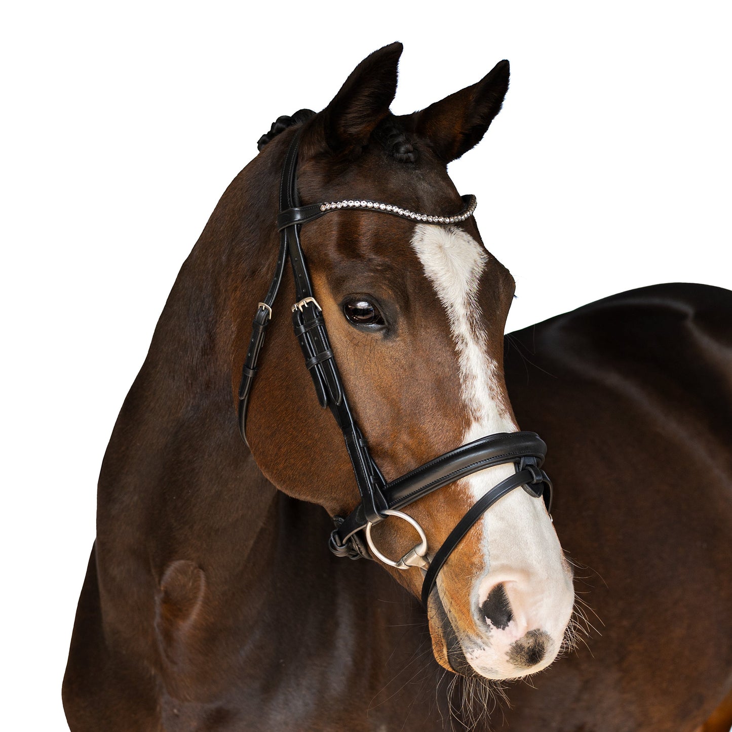 Black snaffle bridle Splendor