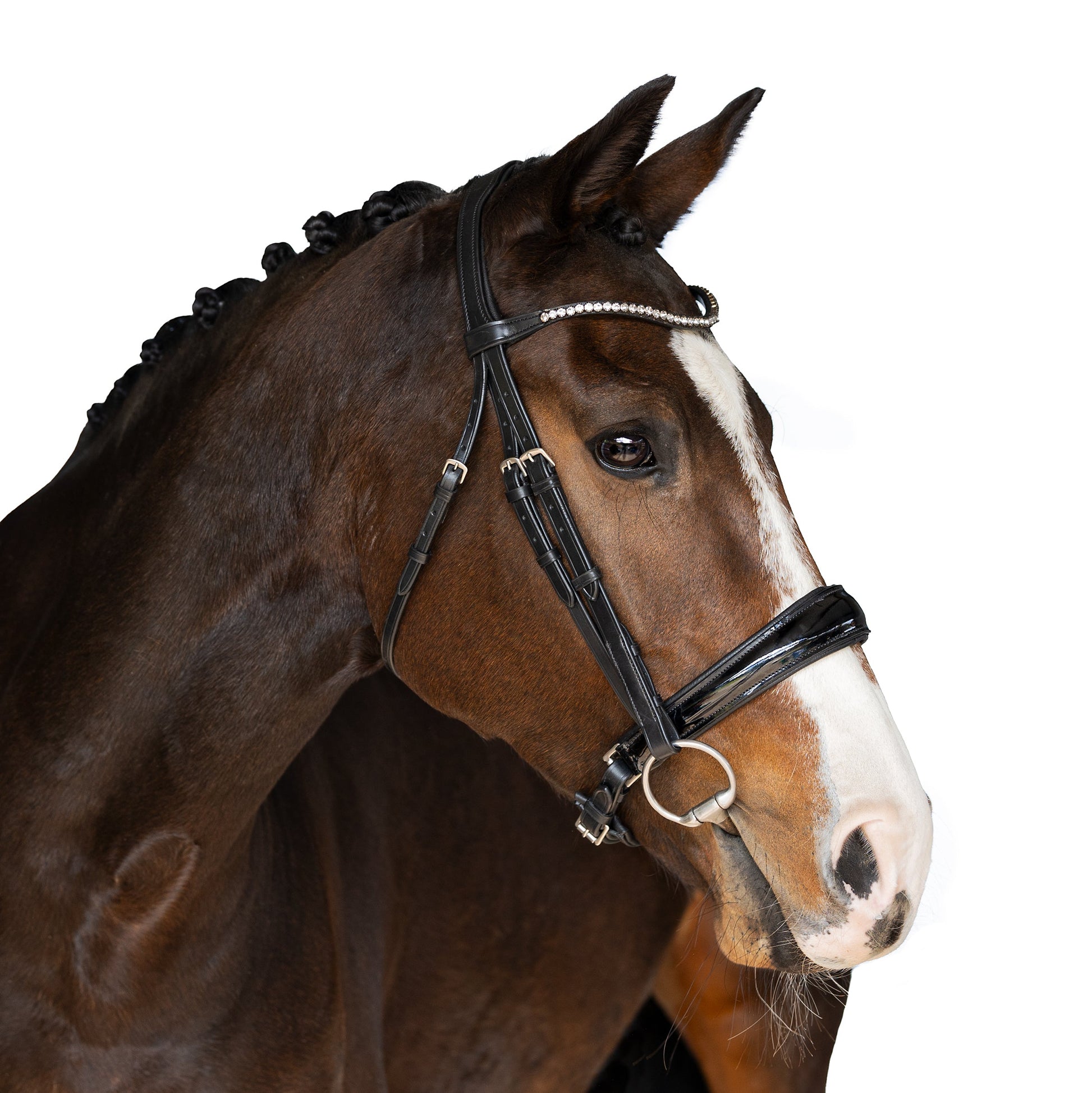 Ready to go snaffle bridle stella - Horse Bridle