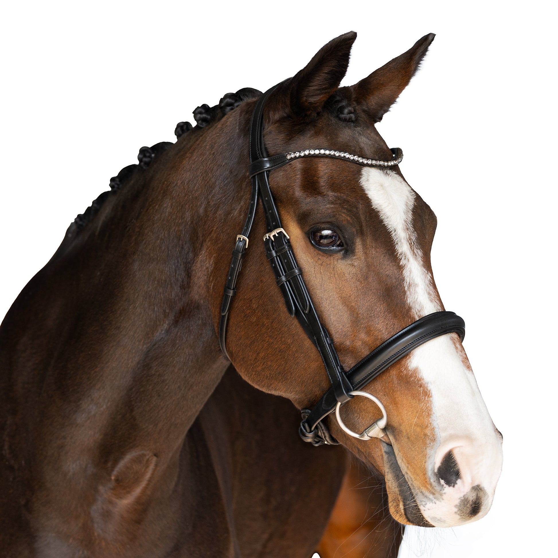 Black snaffle bridle - Horse Bridle