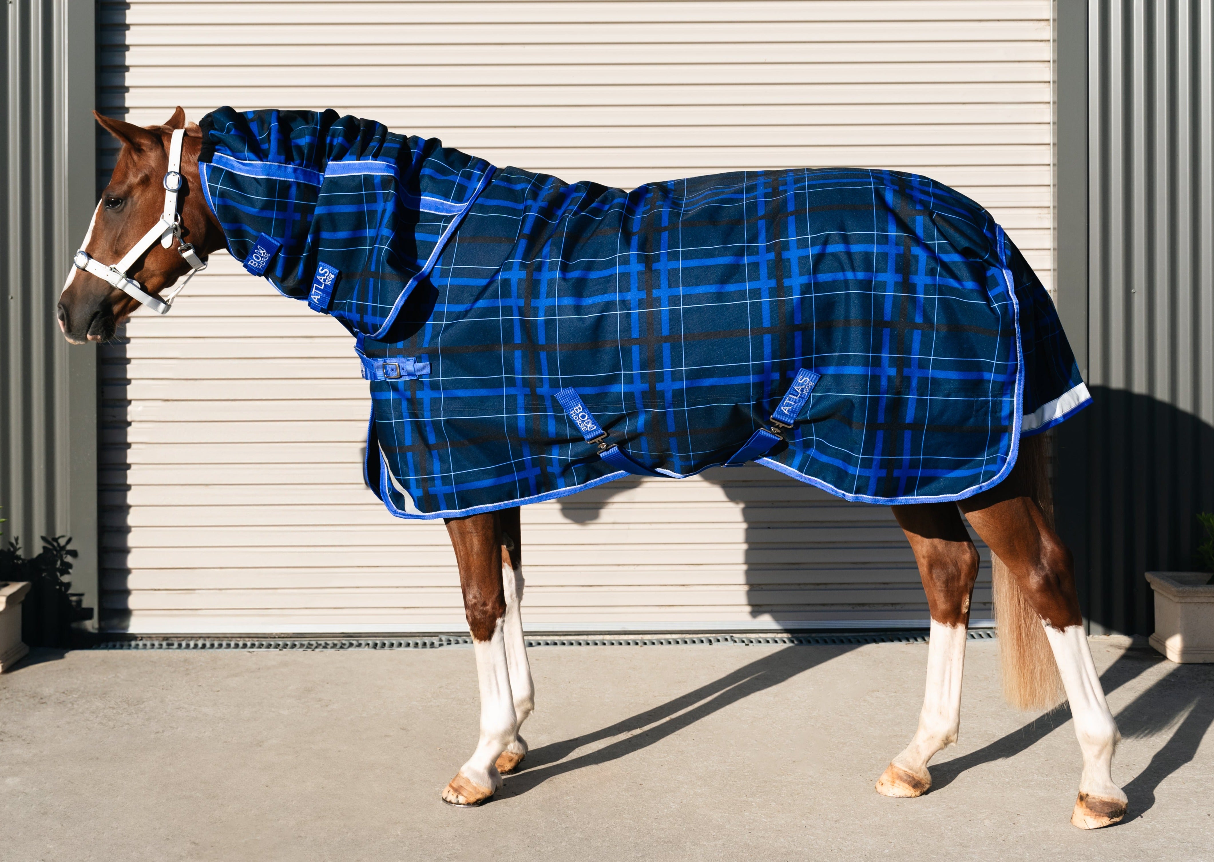 Horse Rug with Detachable Neck - Waterproof Winter Rug | Bow Horse