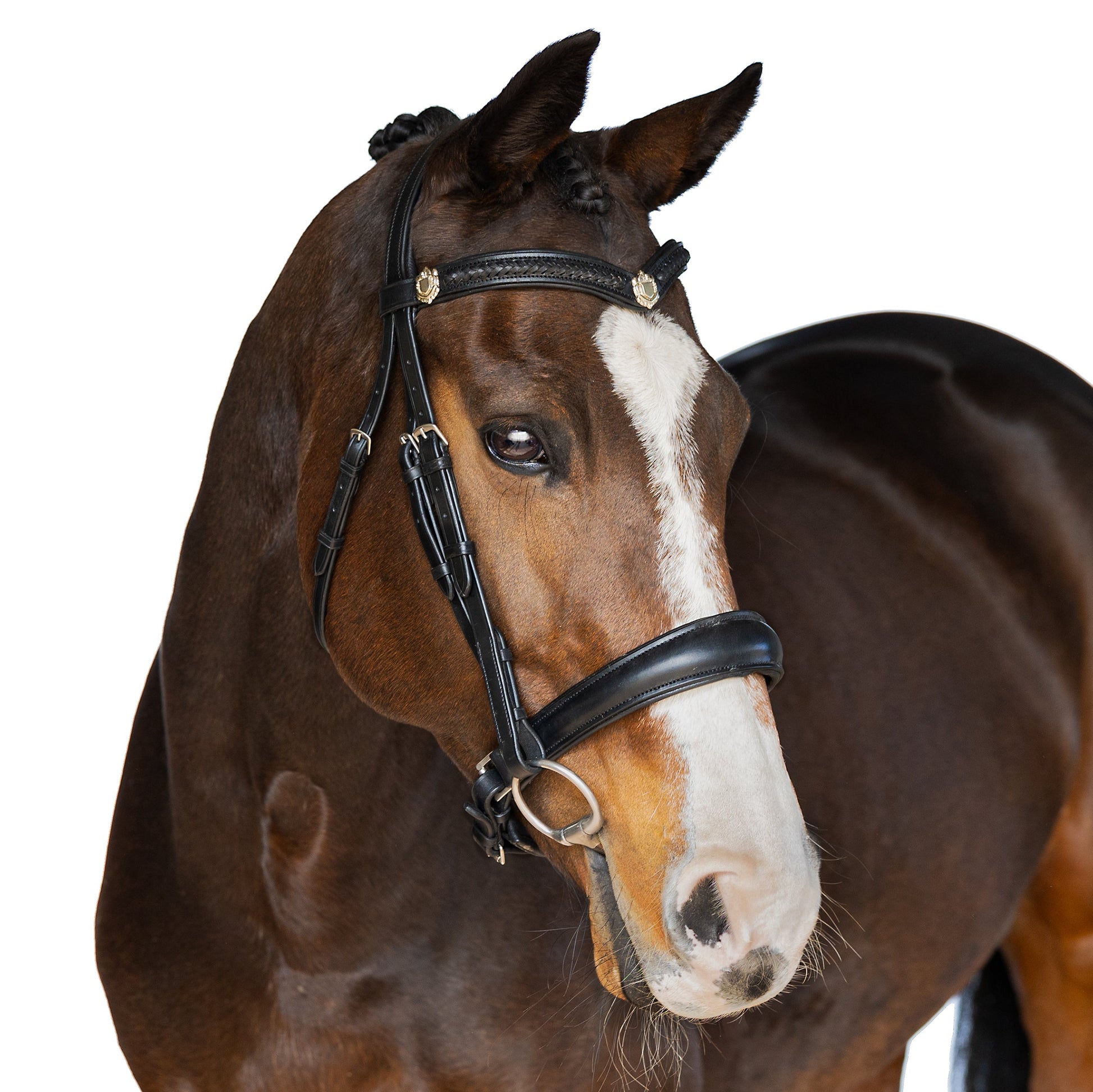 Black snaffle bridle - Azure - ready to go horse bridle