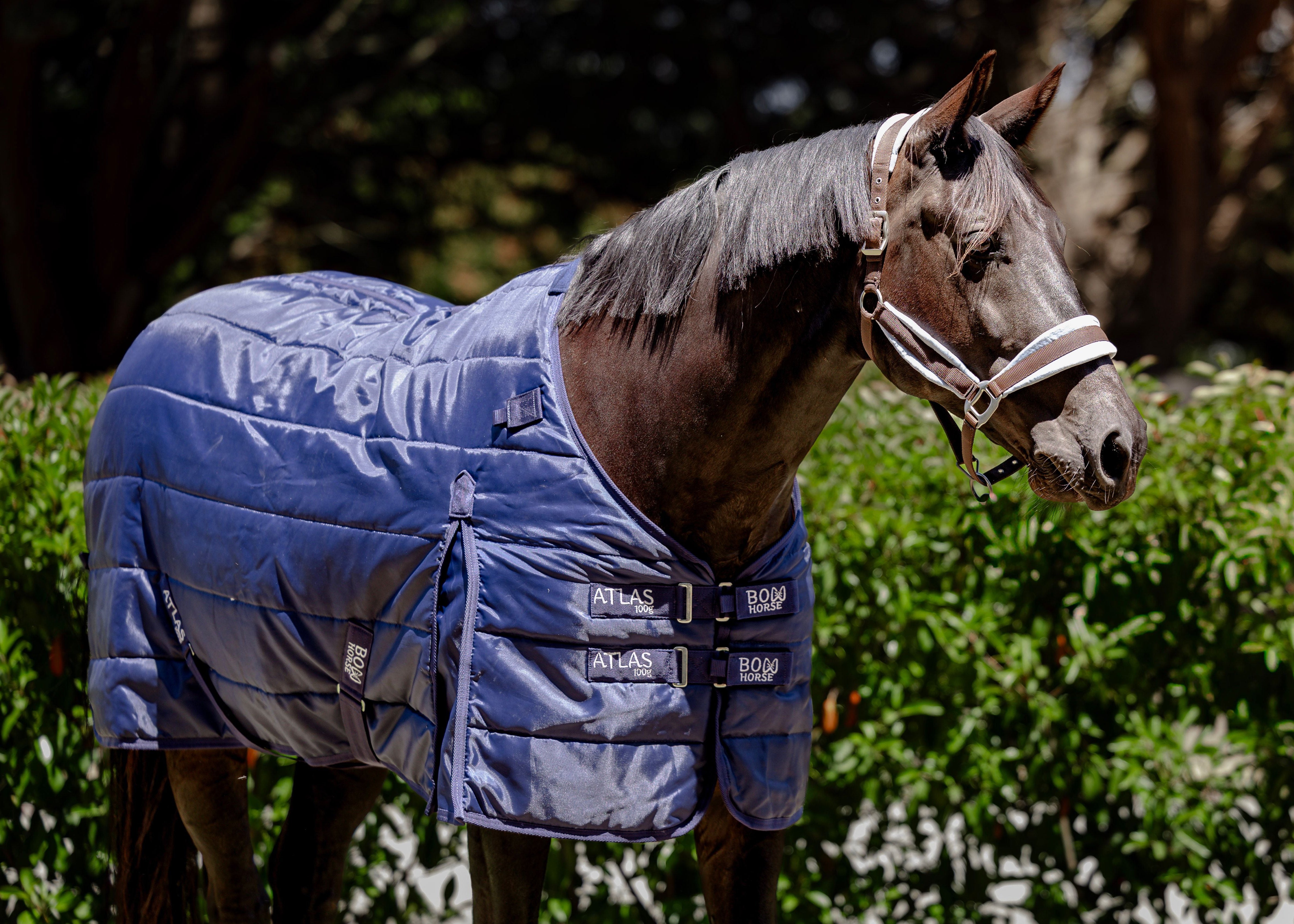 Multipurpose Stable-Liner Rug