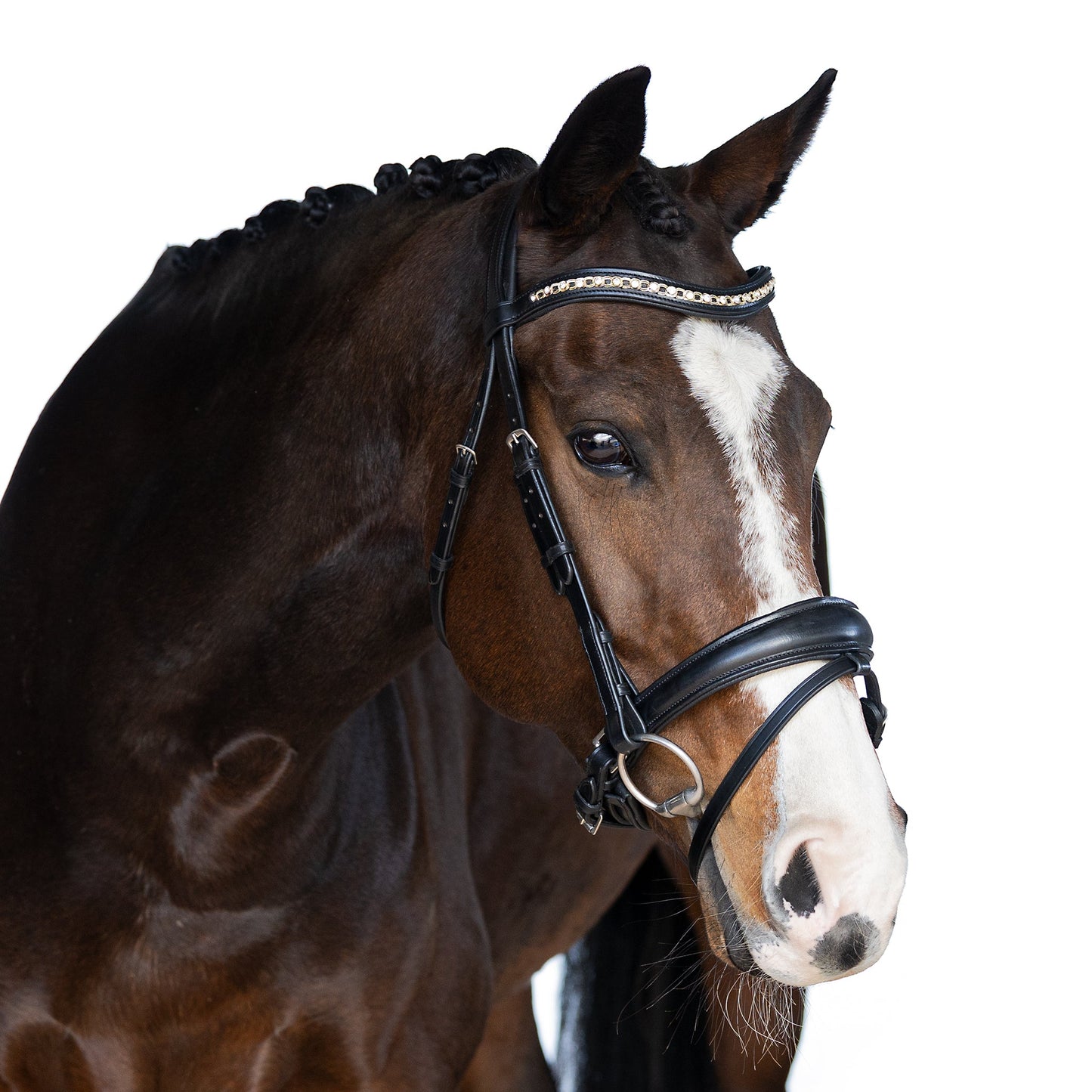 Black Snaffle Bridle 'Ava'