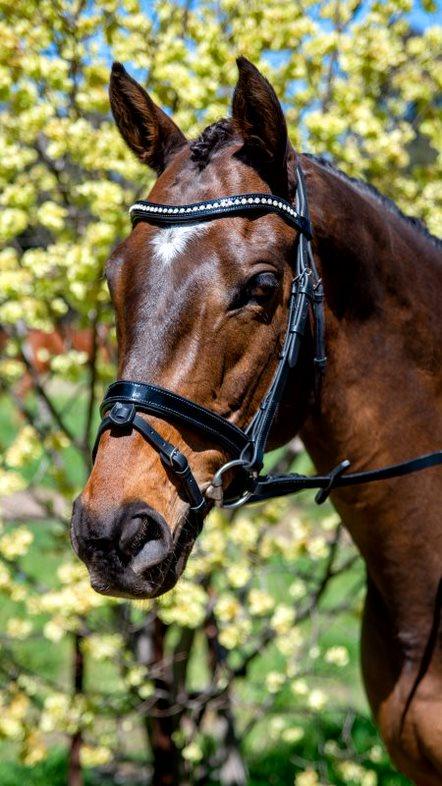 Patent Mid Thin Crystal Wave Snaffle Bridle - Flexible Fit Equestrian Australia