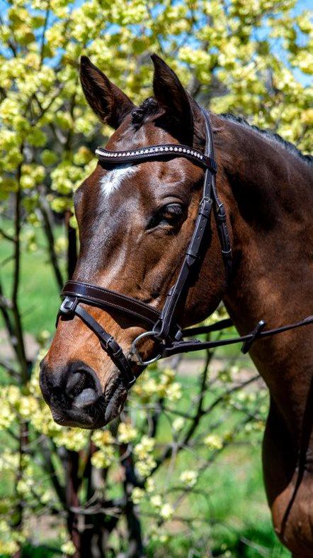 Patent Mid Thin Crystal Wave Snaffle Bridle - Flexible Fit Equestrian Australia