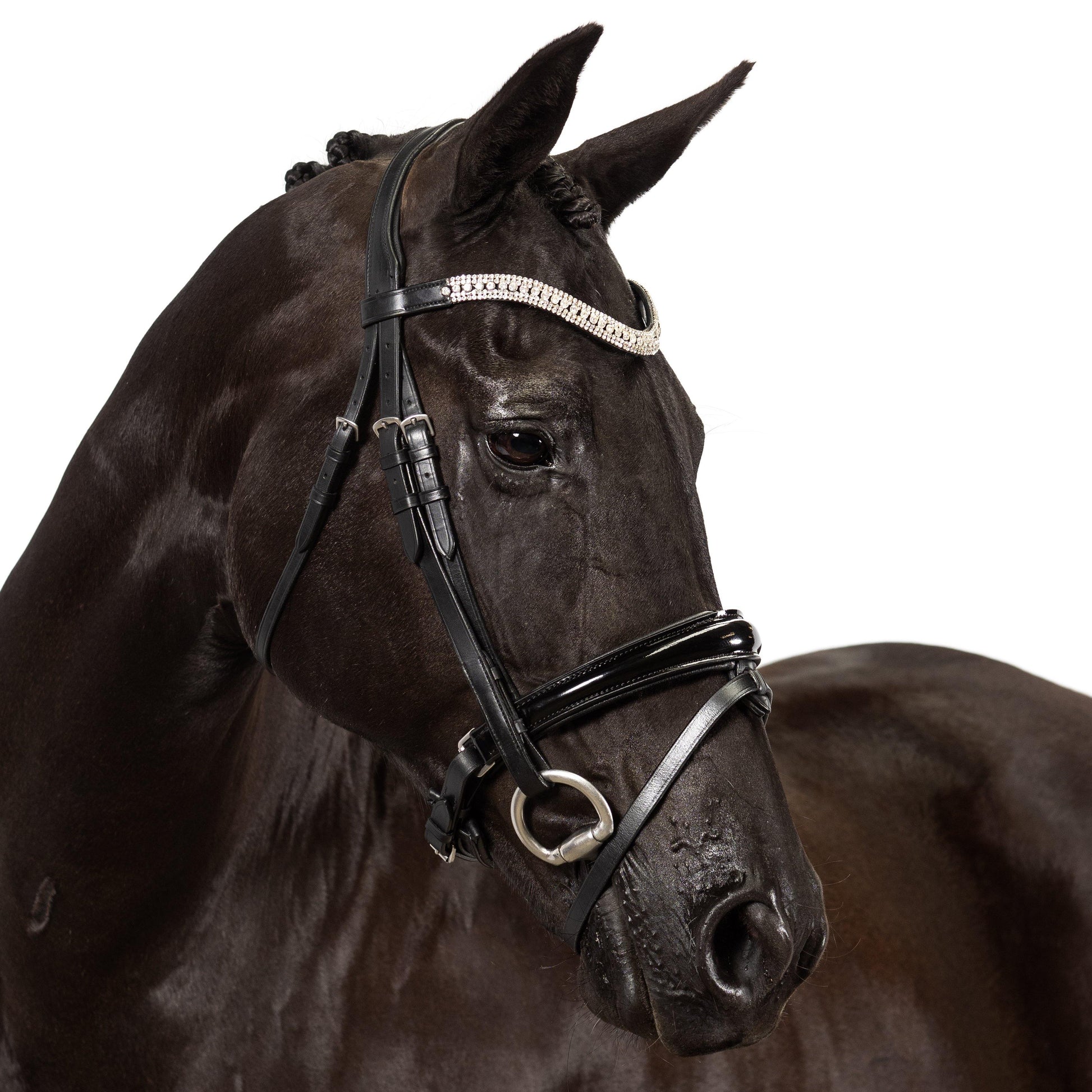 Premium Black Snaffle Bridle 'Explorer' - Flexible Fit Equestrian Australia