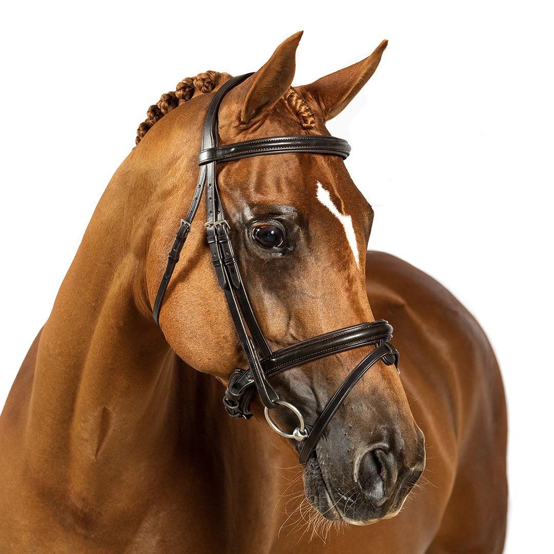 Premium Havana Snaffle Bridle 'Enchanted' - Flexible Fit Equestrian Australia