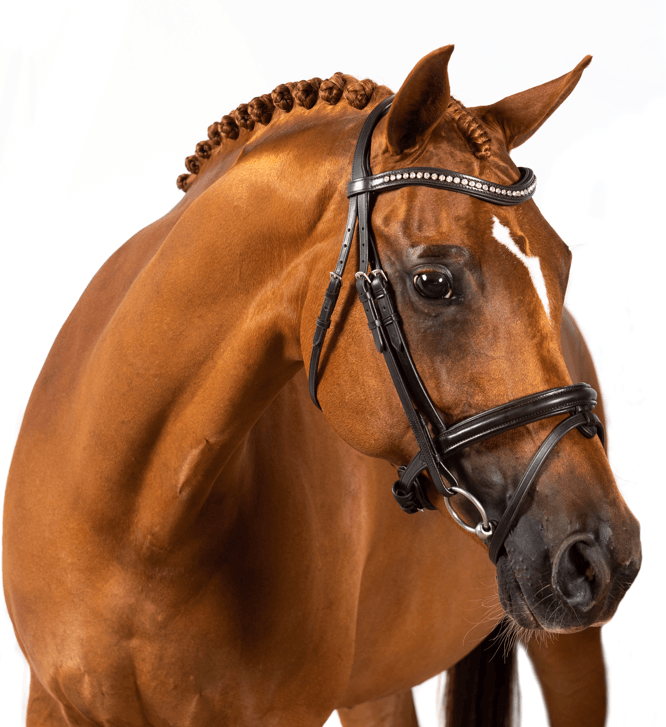 Premium Havana Snaffle Bridle 'Riley' - Flexible Fit Equestrian Australia