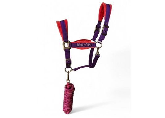 Premium Horse Halter and Lead - Purple