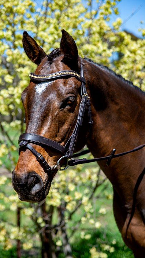 Topaz Wave Snaffle Bridle with Brass Buckles - Flexible Fit Equestrian Australia