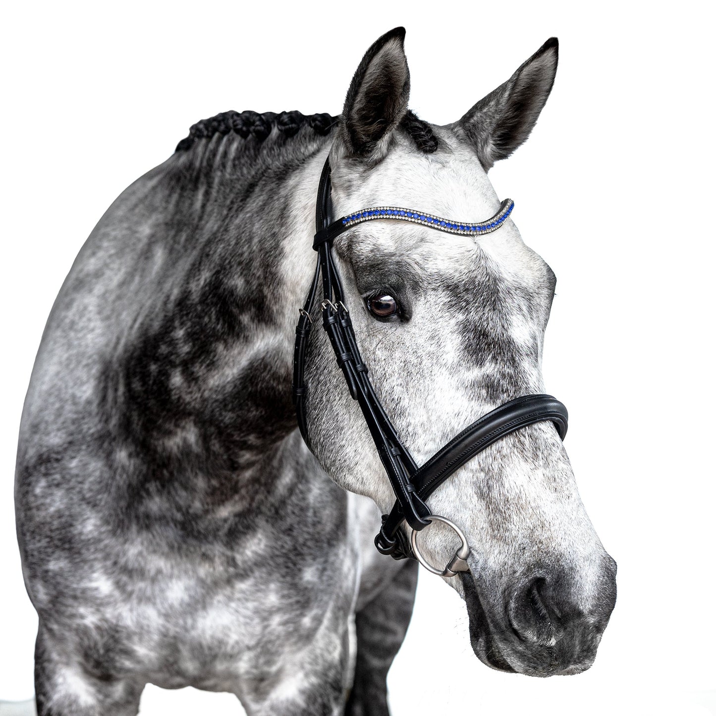 Premium Black Snaffle Bridle 'Sapphire'