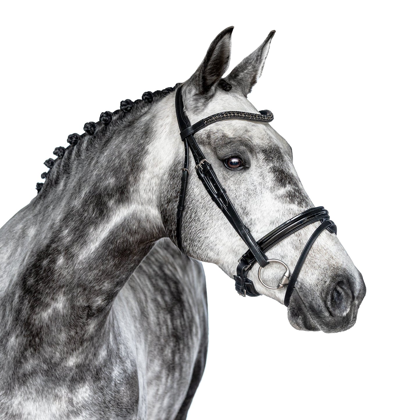 Black snaffle bridle Vogue - Horse Bridle