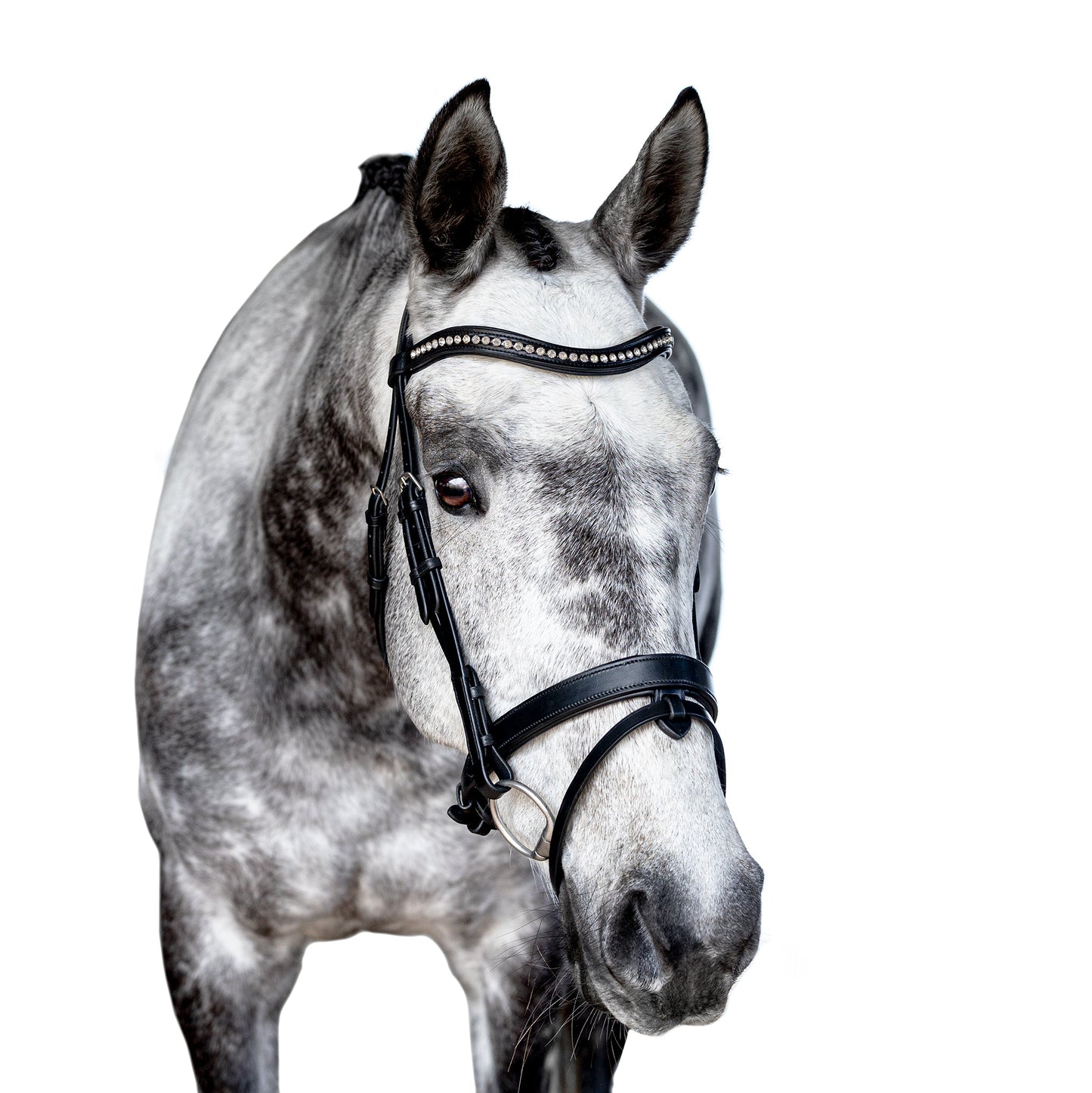 Premium Black Snaffle Bridle 'Breeze'