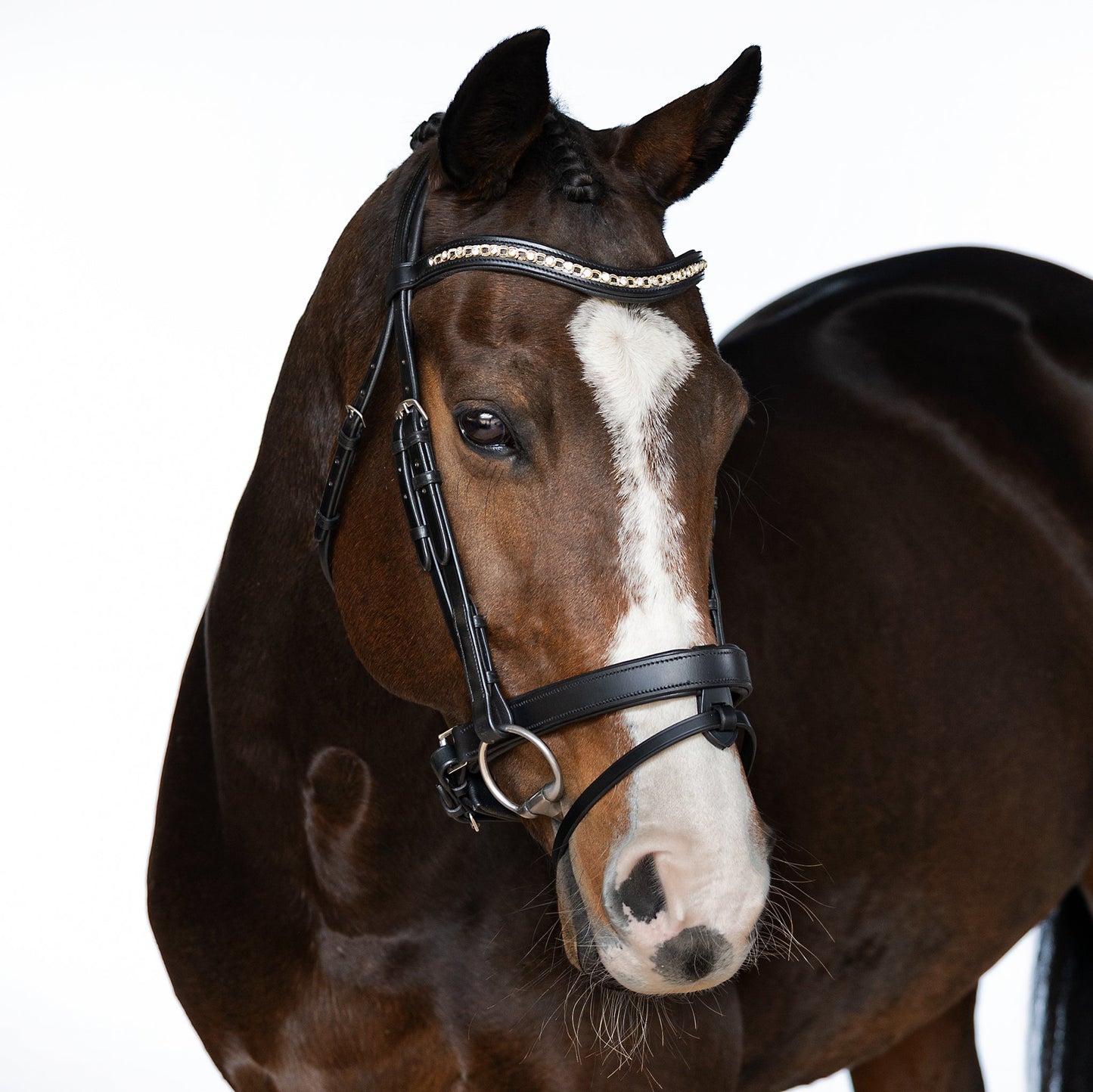 Black Snaffle Bridle 'Willow'