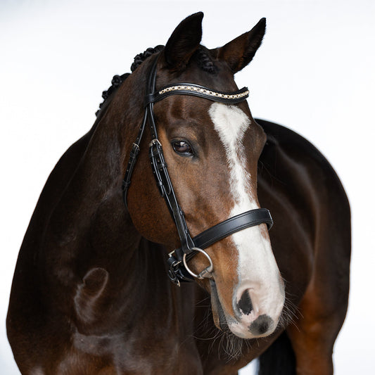 Black Snaffle Bridle 'Willow'