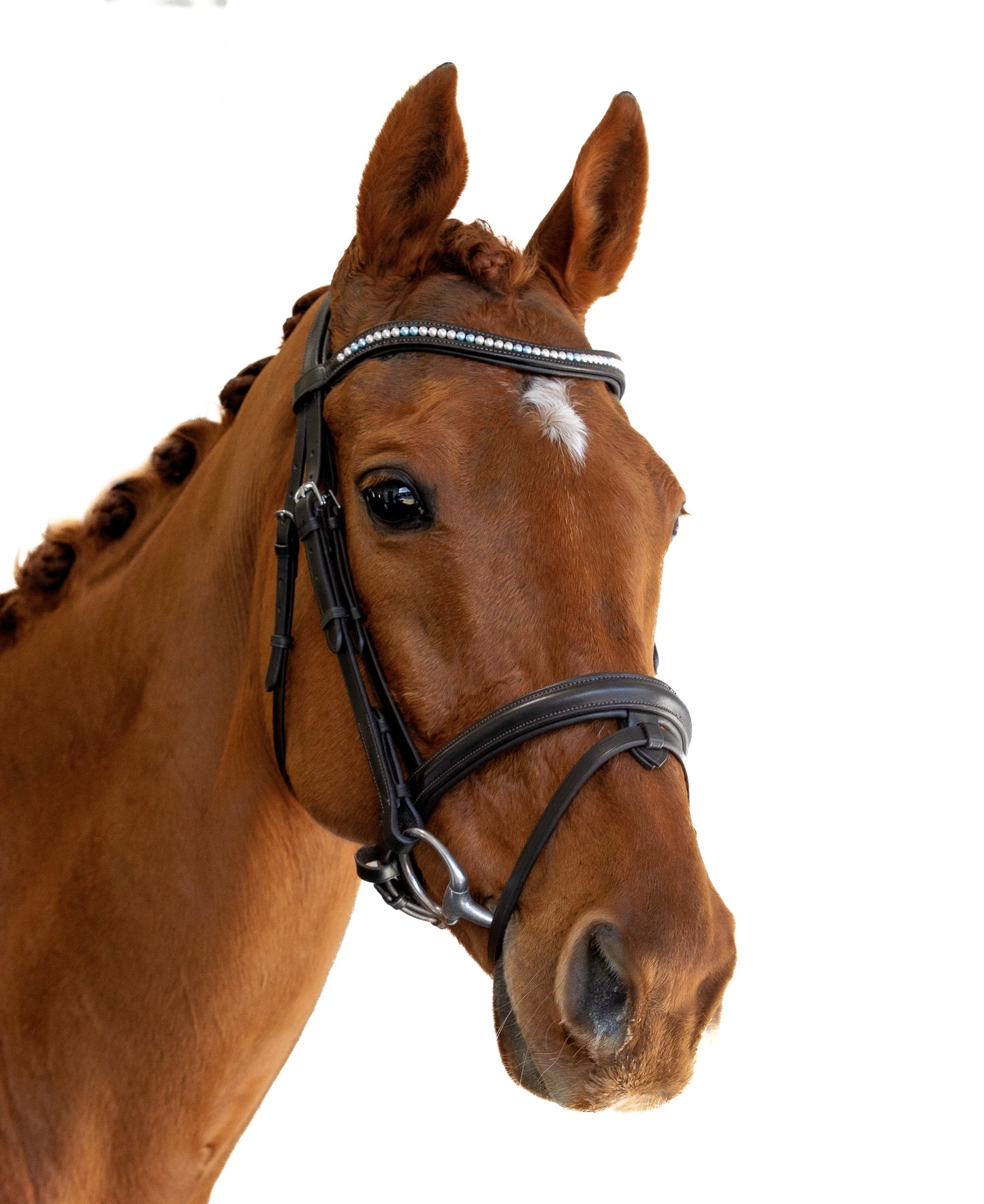 Premium Havana Snaffle Bridle 'Empress'