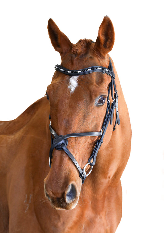 Premium Black Snaffle Bridle 'Dante'