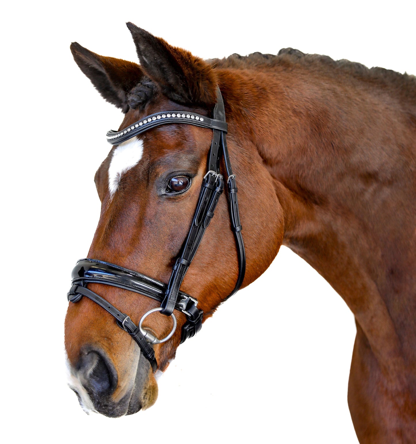 Premium Black Snaffle Bridle 'Spirit'