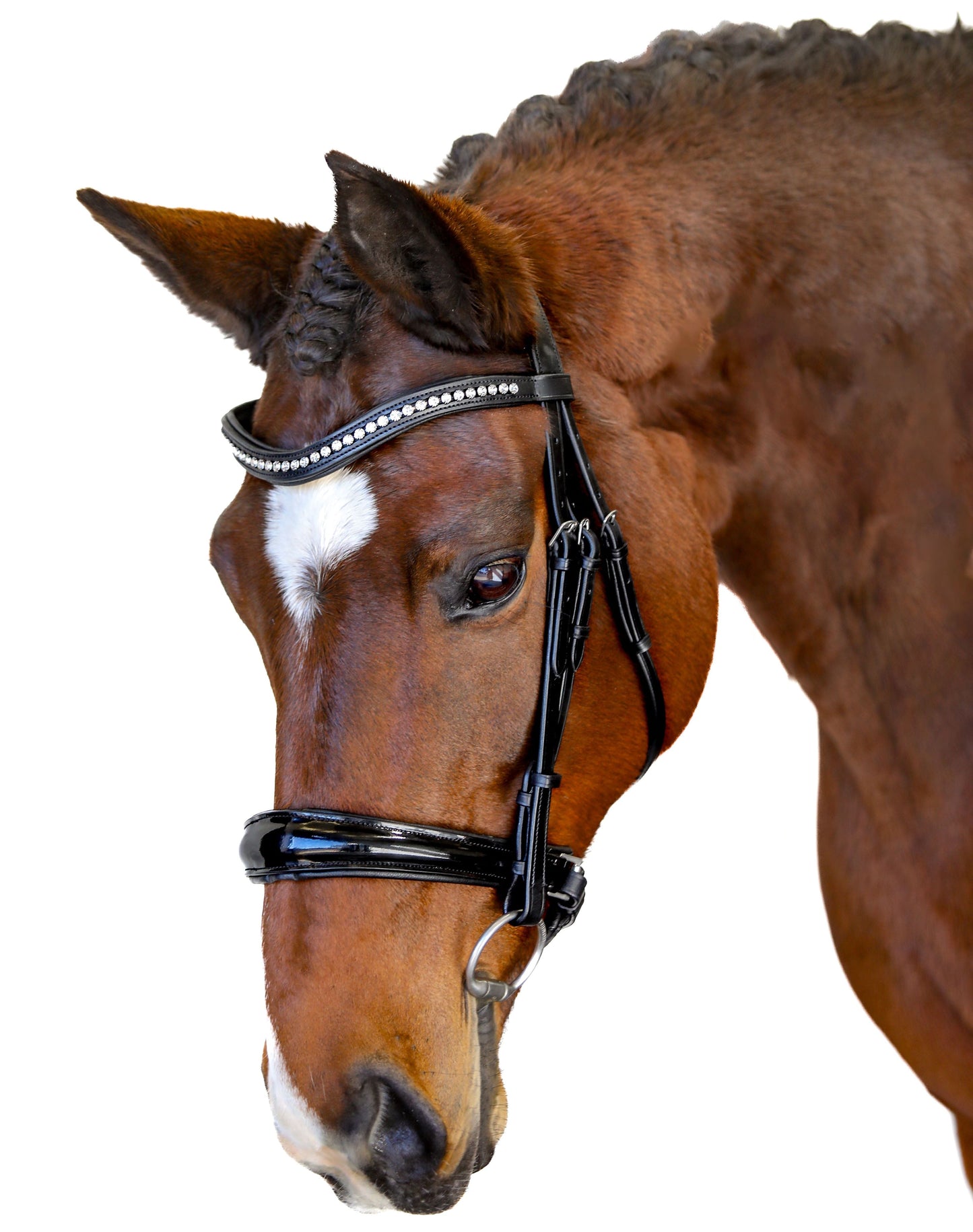 Premium Black Snaffle Bridle 'Spirit'