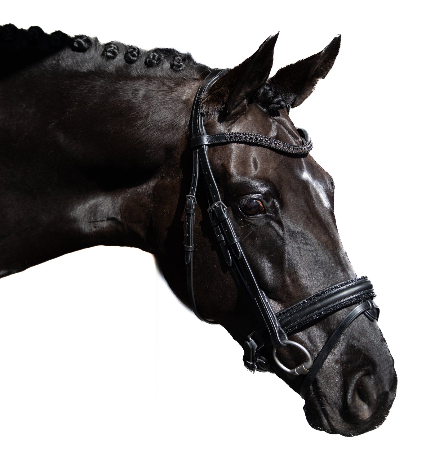 Premium Black Snaffle Bridle 'Glamour'